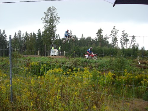 Bild av cooltedan