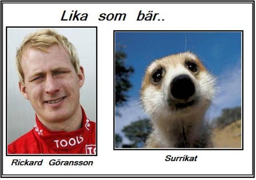 Visst är dom lika.