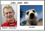 Visst är dom lika.