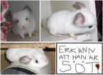 min bebis som jag ska få 2 juni. puzzzzzz.
han ska heta Gucci. :D