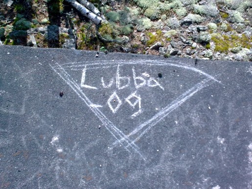 Bild av lubba