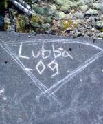 Bild av lubba