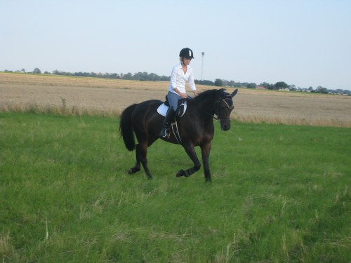 Bild av tisselituss