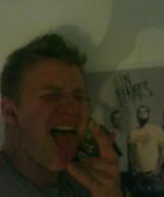 Bild av hashlund