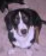 Profilbild för petris