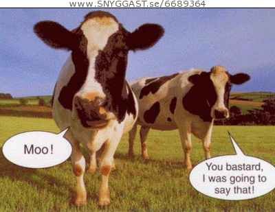 haha XD
