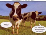 haha XD
