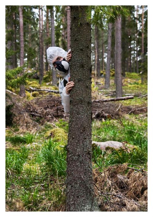 Bild av alexdahla