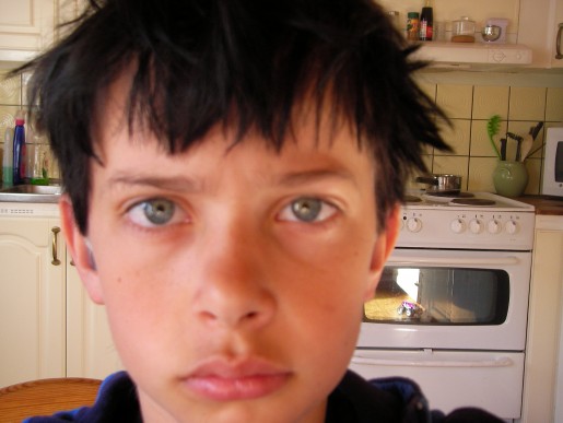 Bild av fille480