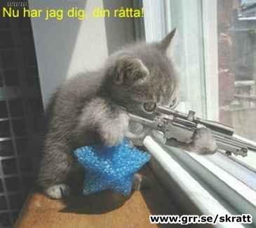 Bild av RadioaktivOsthyvel