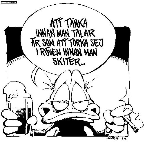 Bild av Polarn