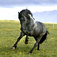 Bild av klimpo