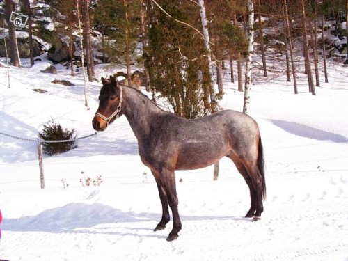 Bild av klimpo