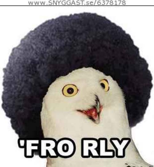 Bild av Ghusa