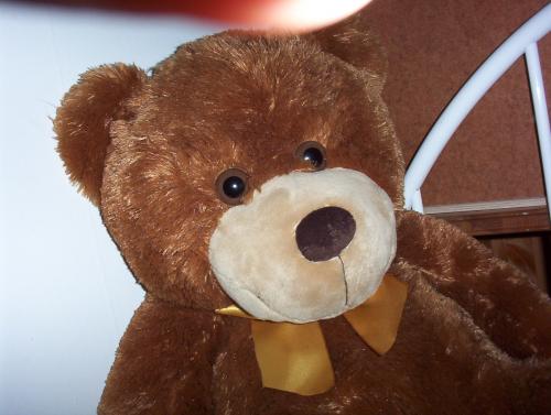Bild av philip9555