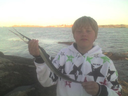 Bild av Suddet