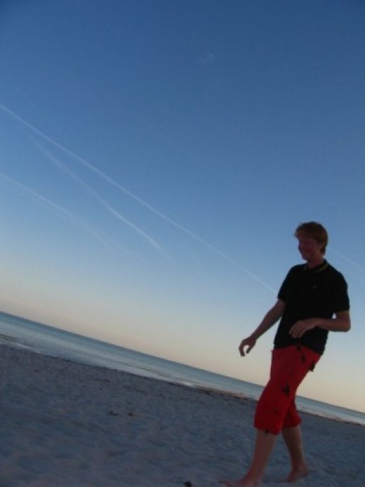 Bild av rodtopp
