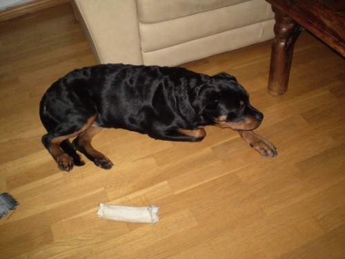 Bild av victor123456789