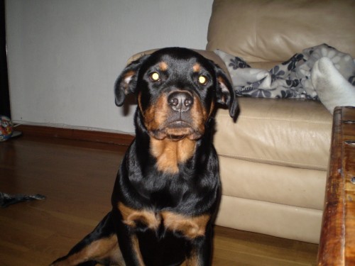 Bild av victor123456789