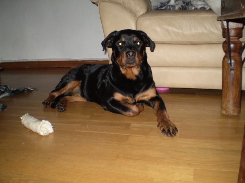 Bild av victor123456789