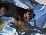 Bild av victor123456789