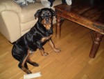 Bild av victor123456789