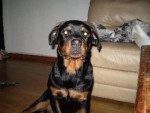 Bild av victor123456789