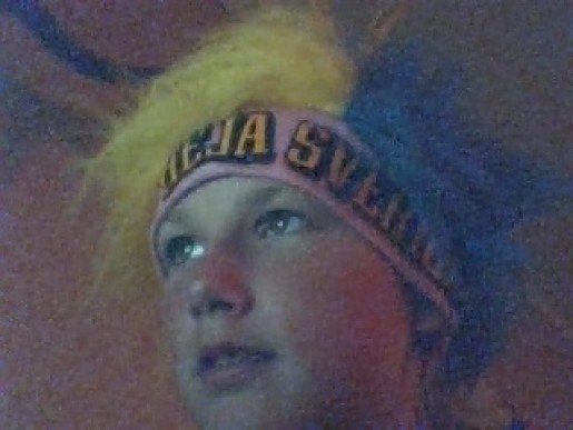 Bild av fillingar