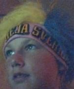 Bild av fillingar