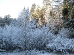 Bild av TheJezzy