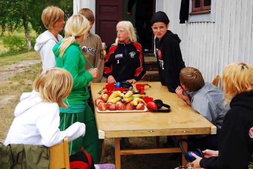 Bild av frs