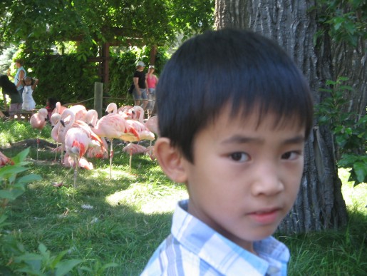 Bild av Rocknguyen2000