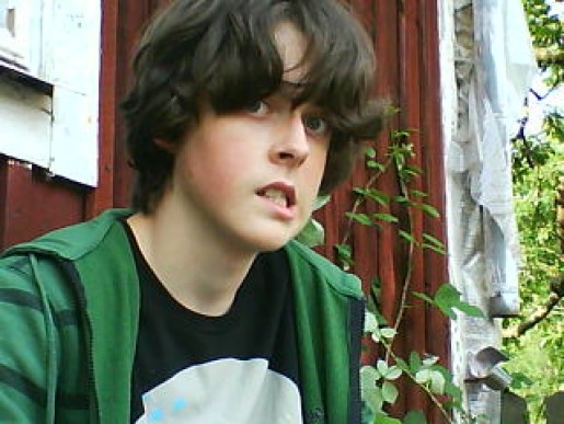 Bild av yllemesen