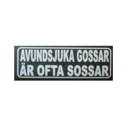Bild av Isbjurnen