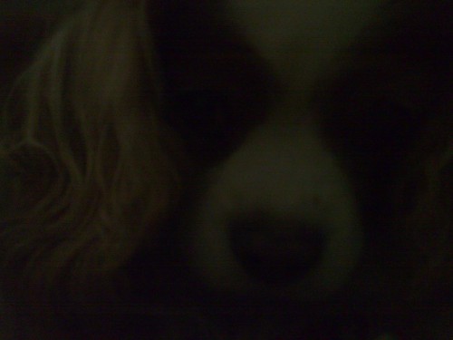 Bild av deswaq