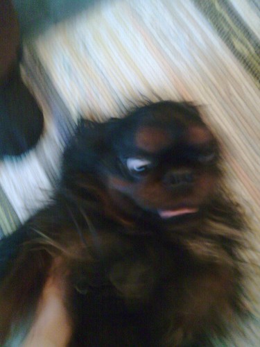 Bild av deswaq