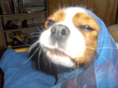 Bild av deswaq