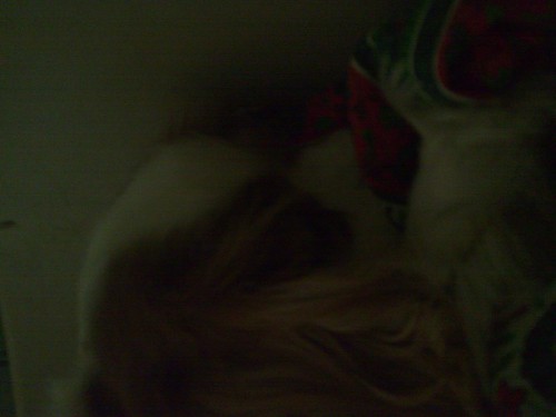 Bild av deswaq