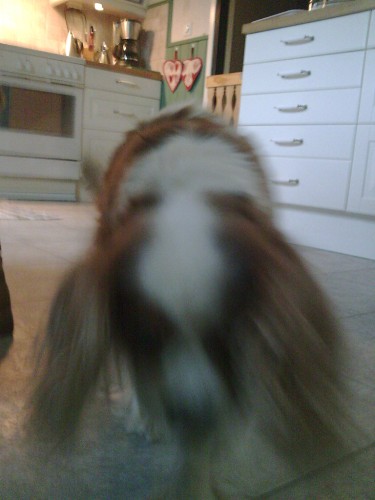 Bild av deswaq