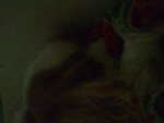 Bild av deswaq