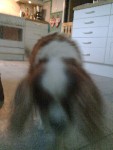 Bild av deswaq