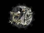 yin och yang