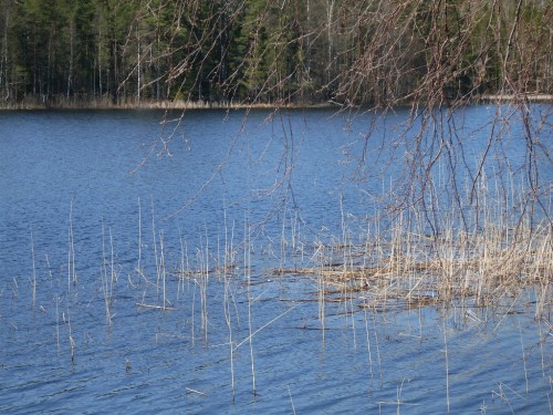 Bild av froobster1