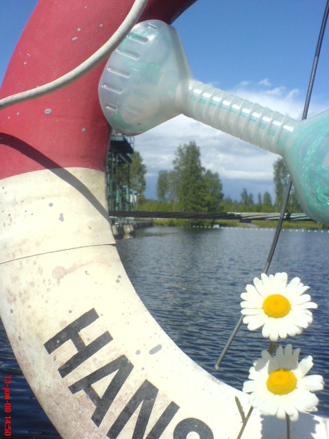 Bild av ffillan