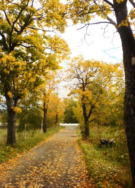 A walk to remember.