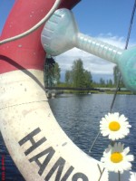 Bild av ffillan