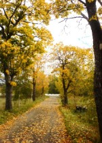 A walk to remember.