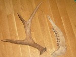 Bild av JagHeterJesper