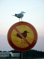 Bild av JagHeterJesper