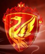 Bild av torres97